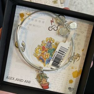 Limited edition Harry Potter bracelet.